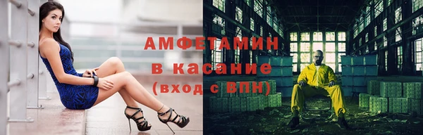шишки Арсеньев