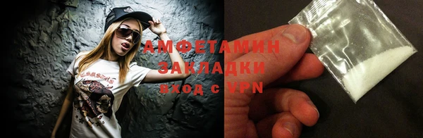 шишки Арсеньев