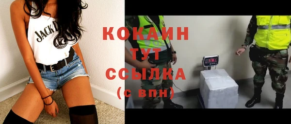 шишки Арсеньев
