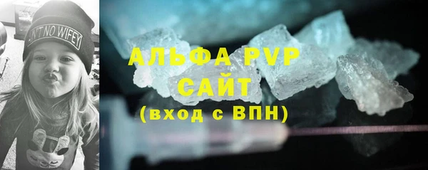 шишки Арсеньев