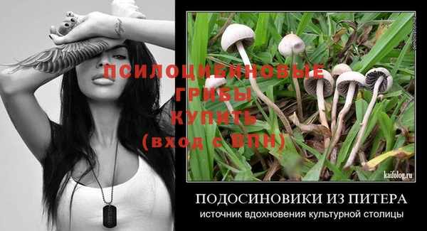 гидра Аркадак