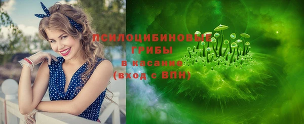 шишки Арсеньев