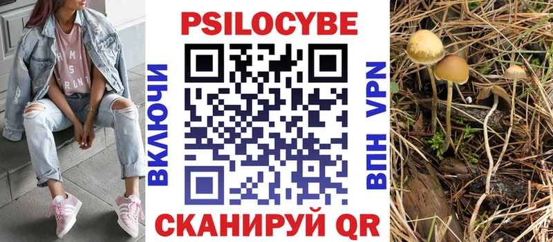 Псилоцибиновые грибы MAGIC MUSHROOMS  Уржум 